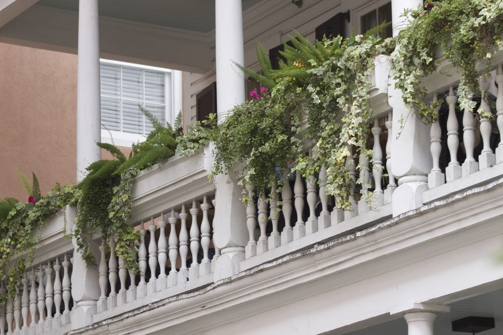 charming charleston