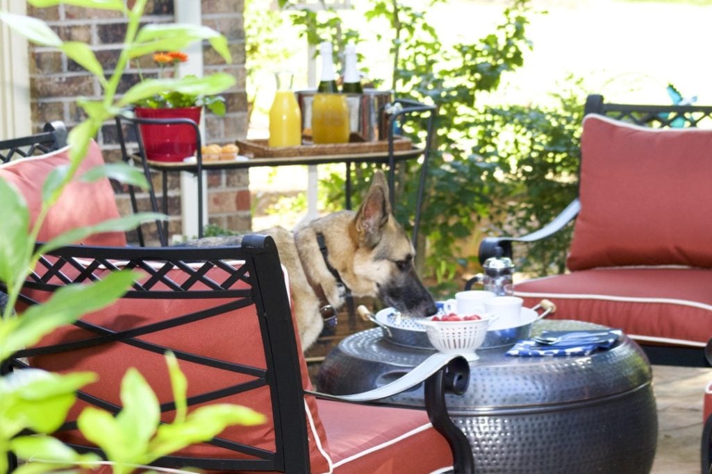 patio set by wayfair