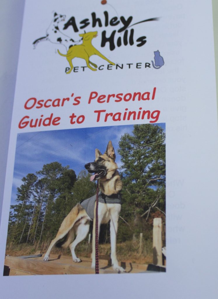 fridays with oscar