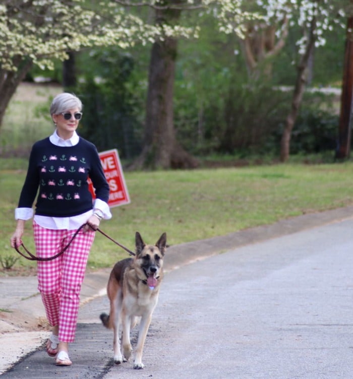 boden gingham pants, talbots embroidered sweater, talbots white shirt, jack rogers sandals