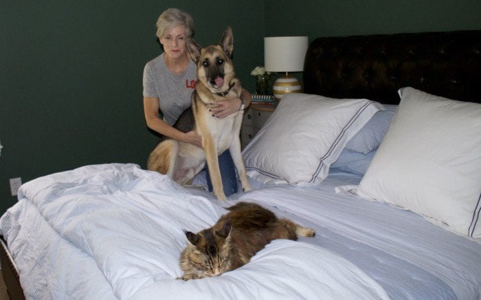 west elm organic bedding, j.crew denim and graphic tee