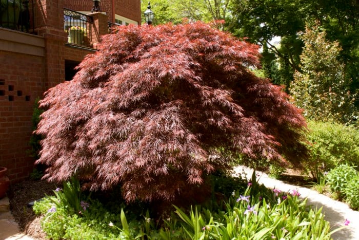 home and garden tour