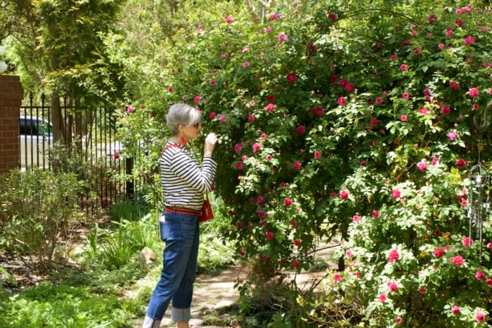 home and garden tour