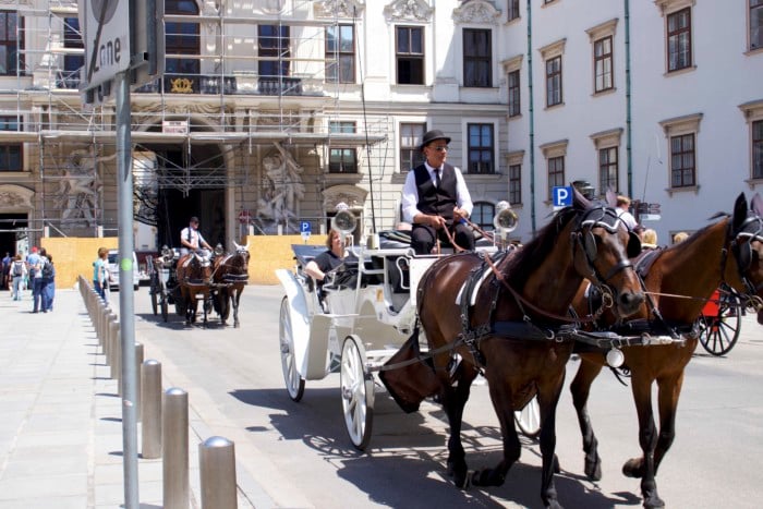 scenes of vienna