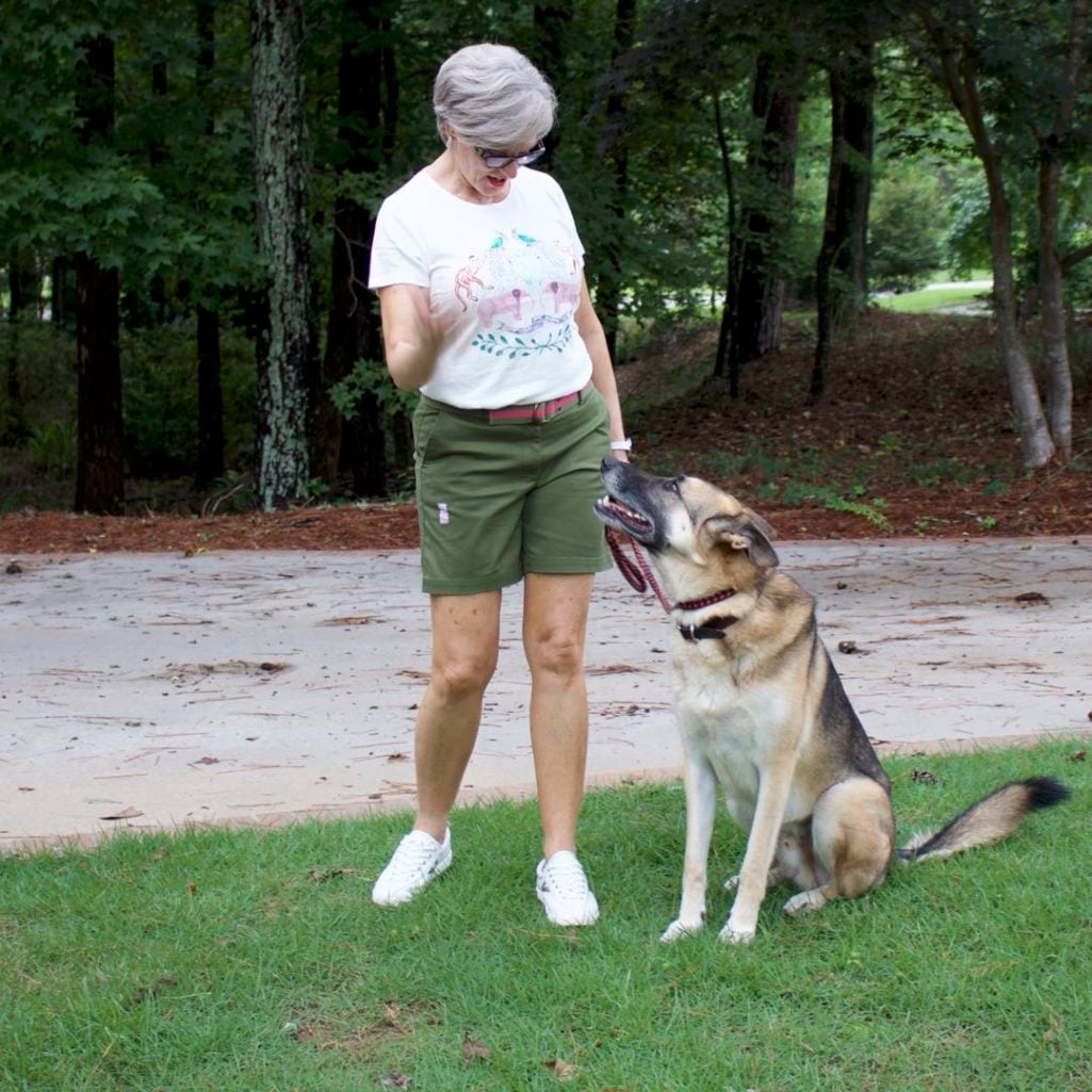 talbots distressed shorts, j.crew graphic tee, tretorn sneakers