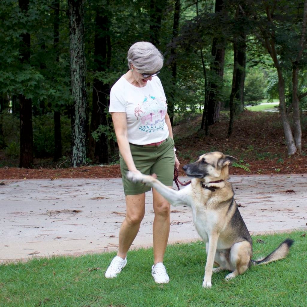 talbots distressed shorts, j.crew graphic tee, tretorn sneakers