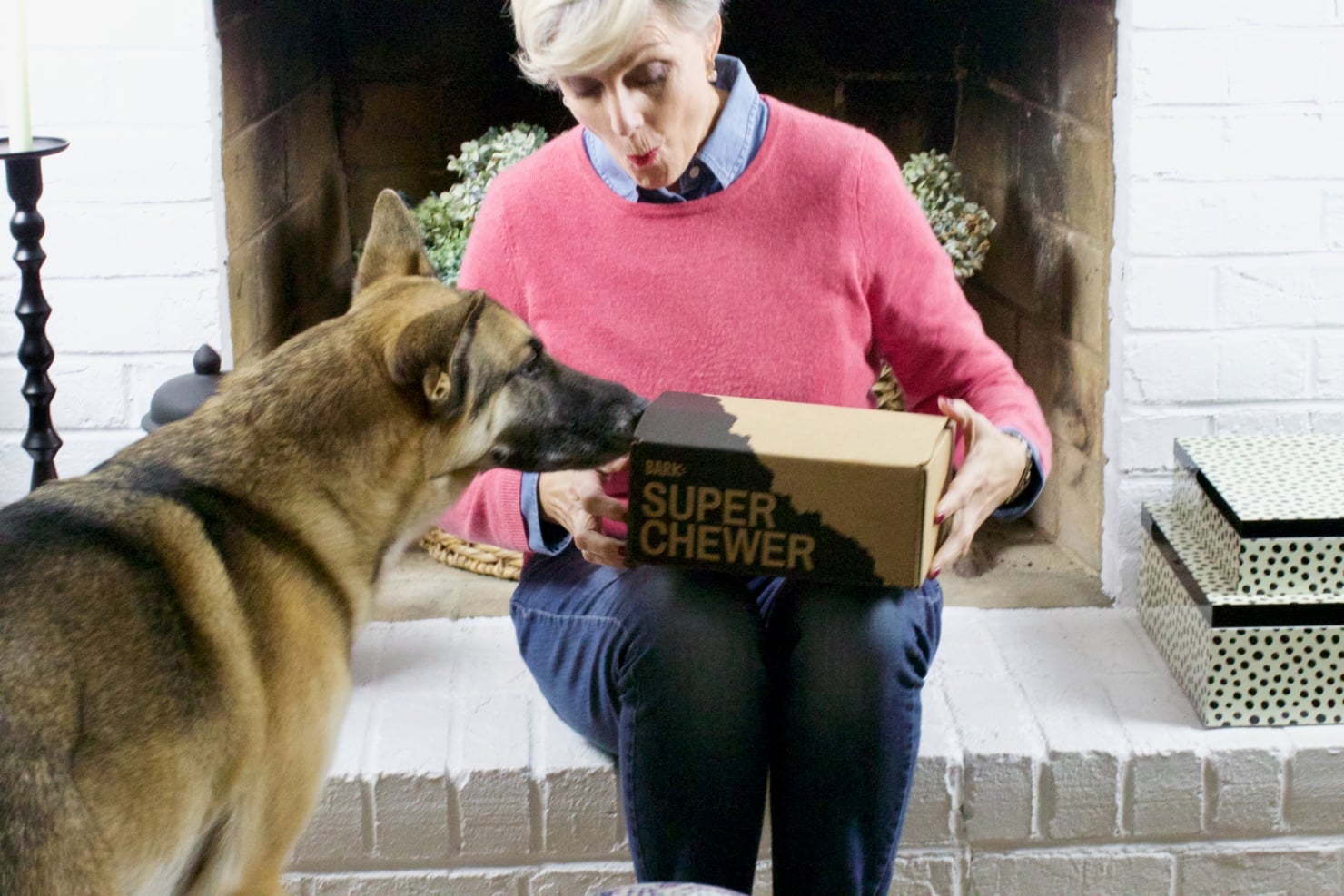 oscar from style at a certain age opens a super chewer barkbox