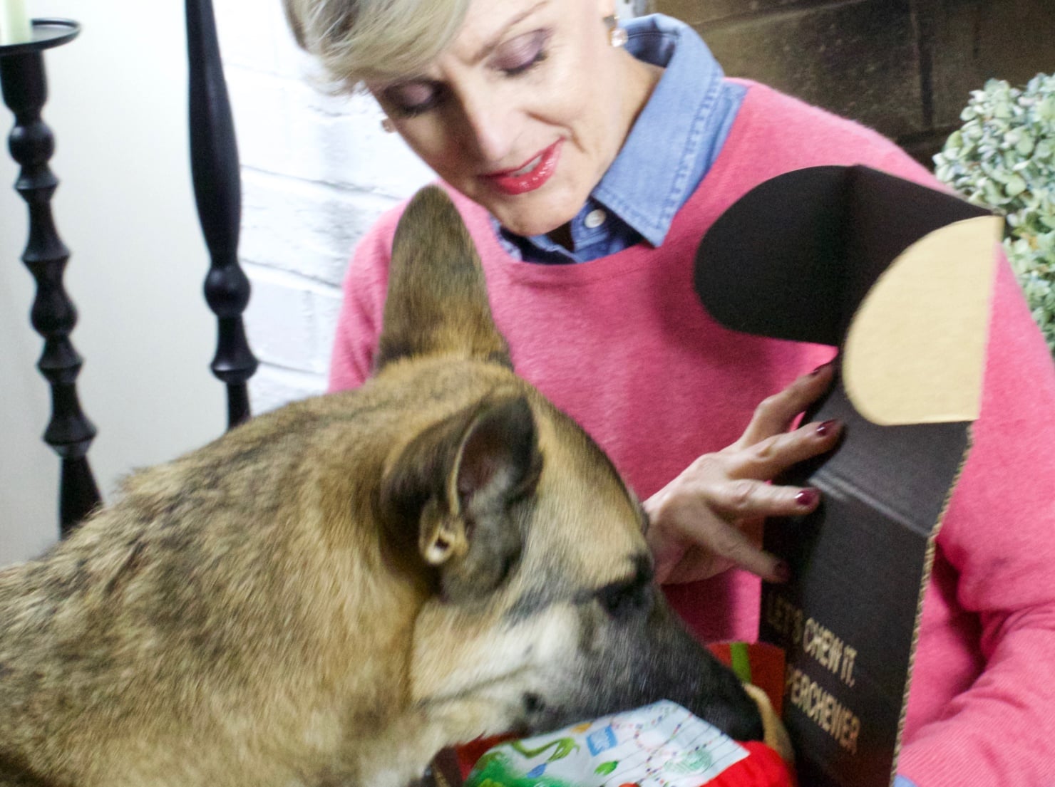 oscar from style at a certain age opens a super chewer barkbox
