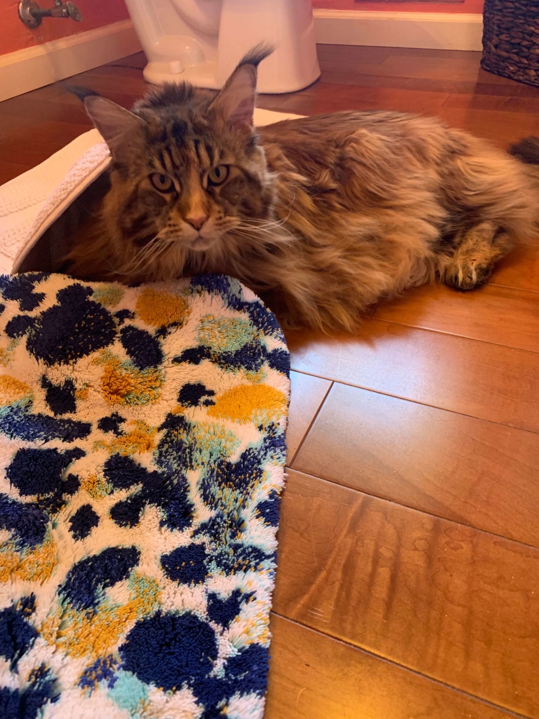 fridays with oscar | pink tart and stuffed peppers