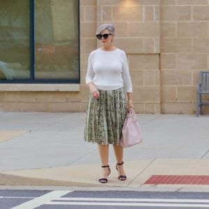 animal print | the classic style series