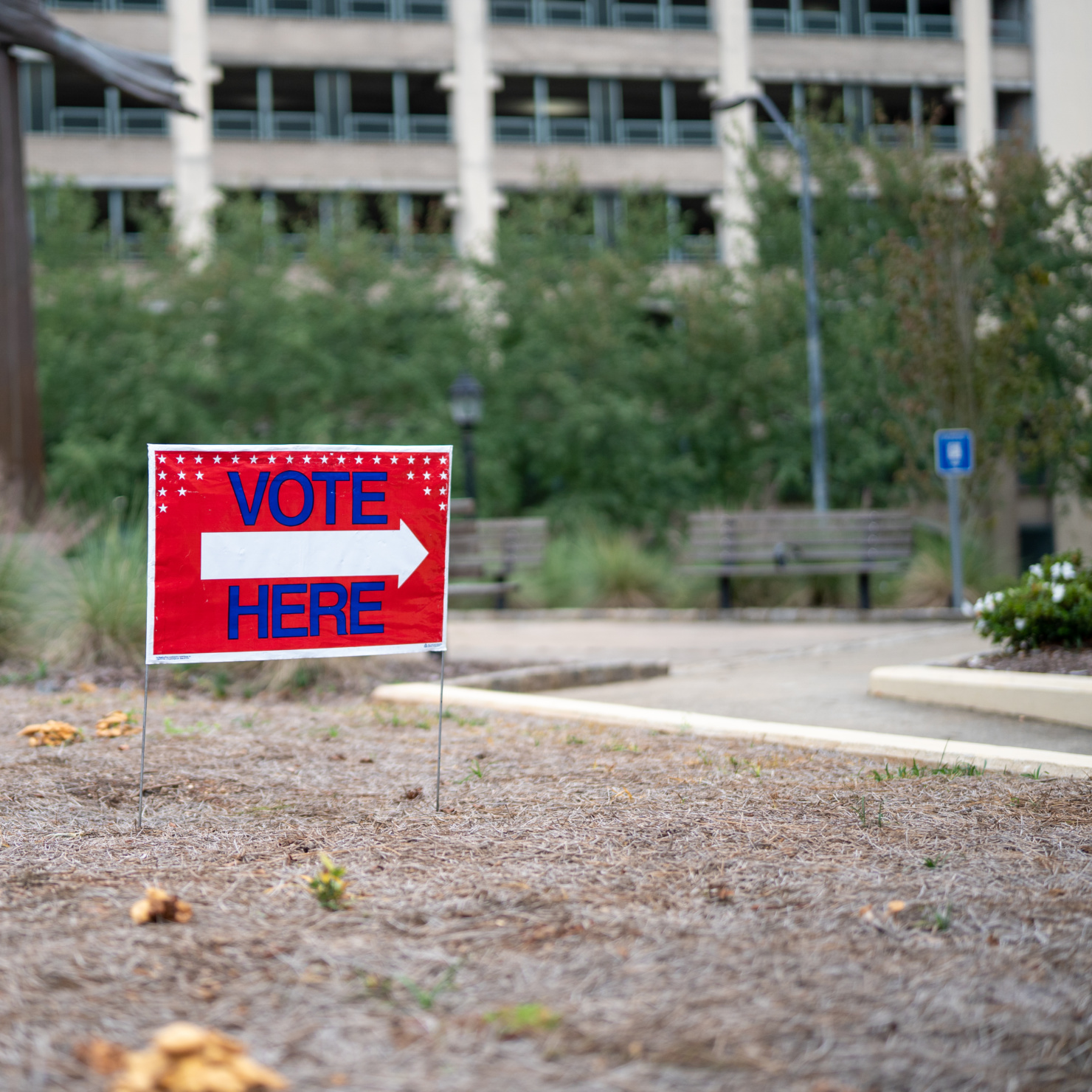 it's a privilege to vote