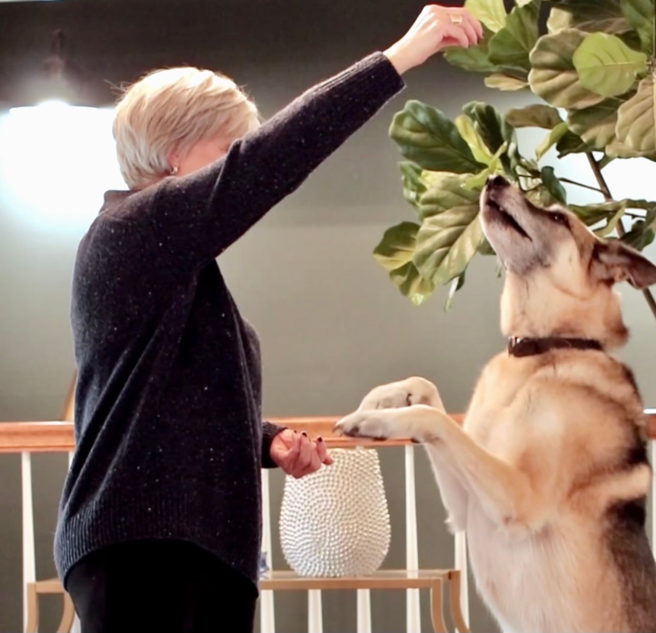 AARP in-feed 1