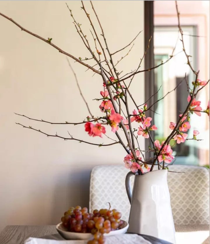 Blossoms pitcher