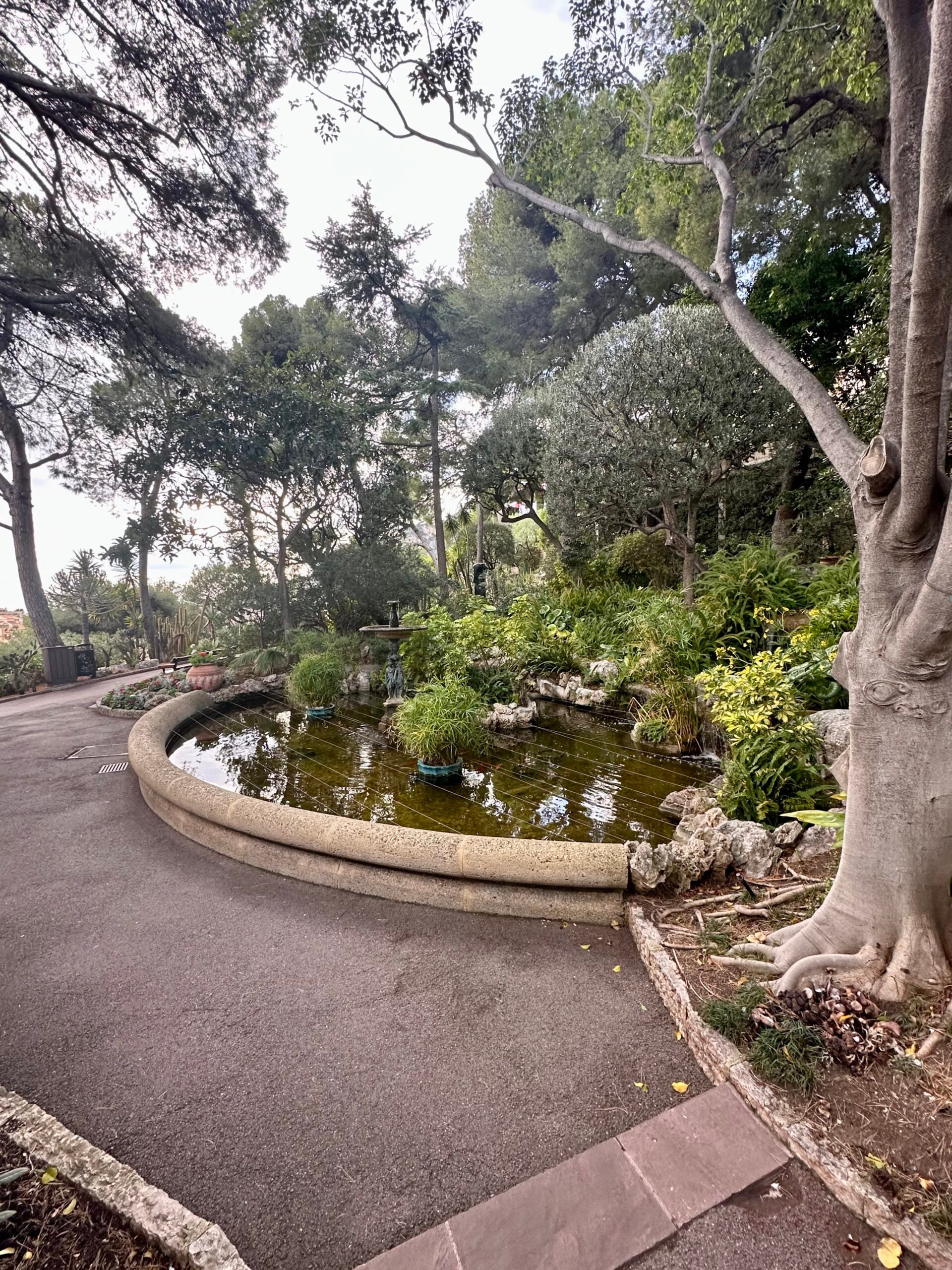Moncao Garden 1