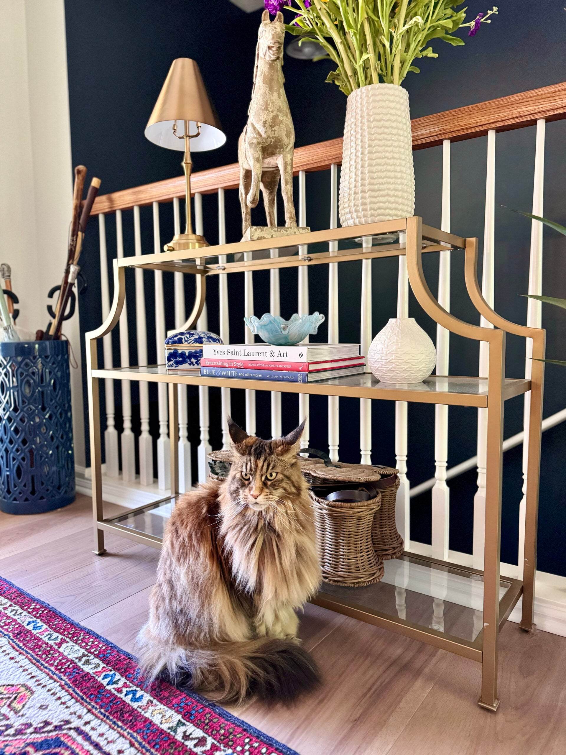 cat at home