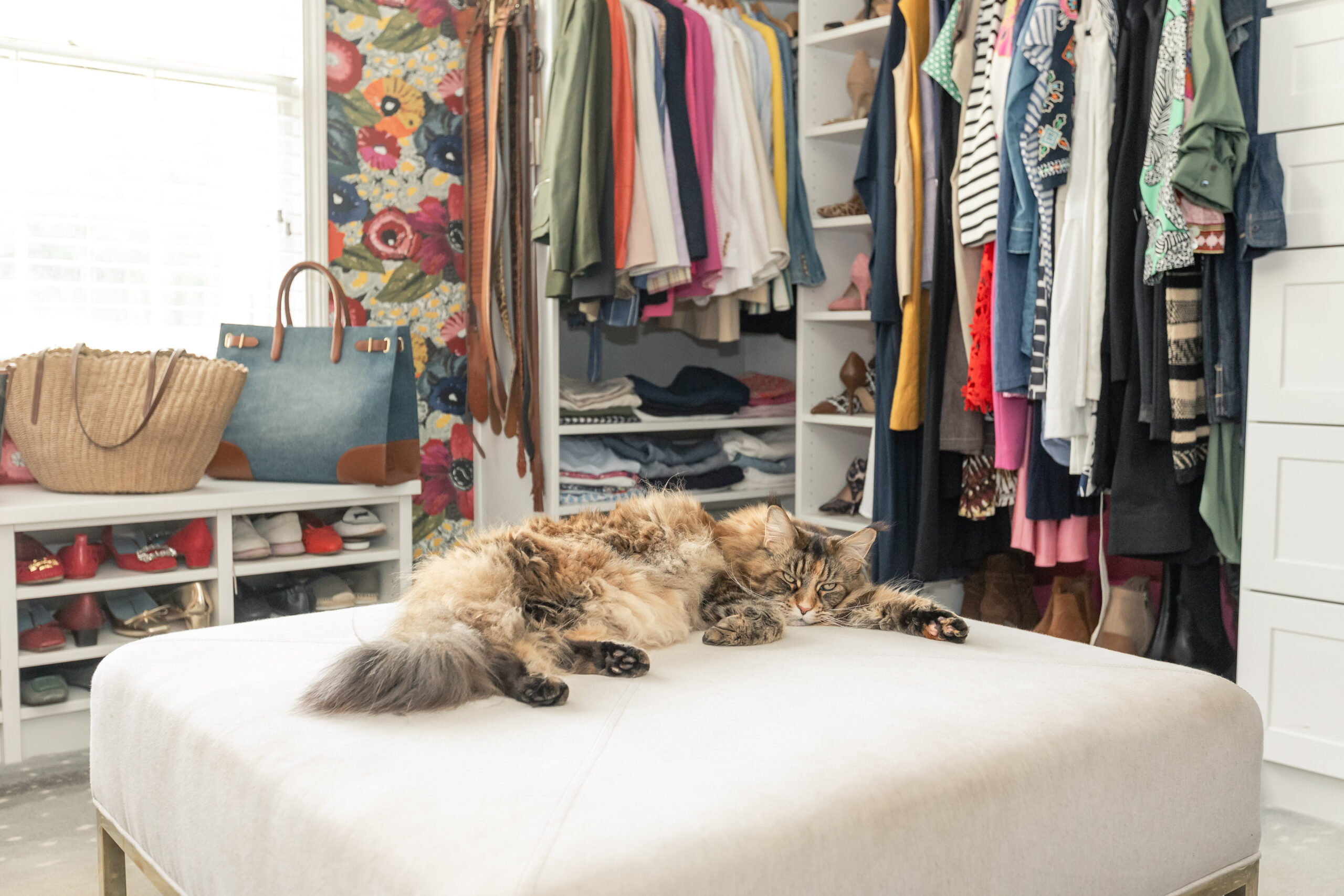 Why You Should Declutter Your Closet