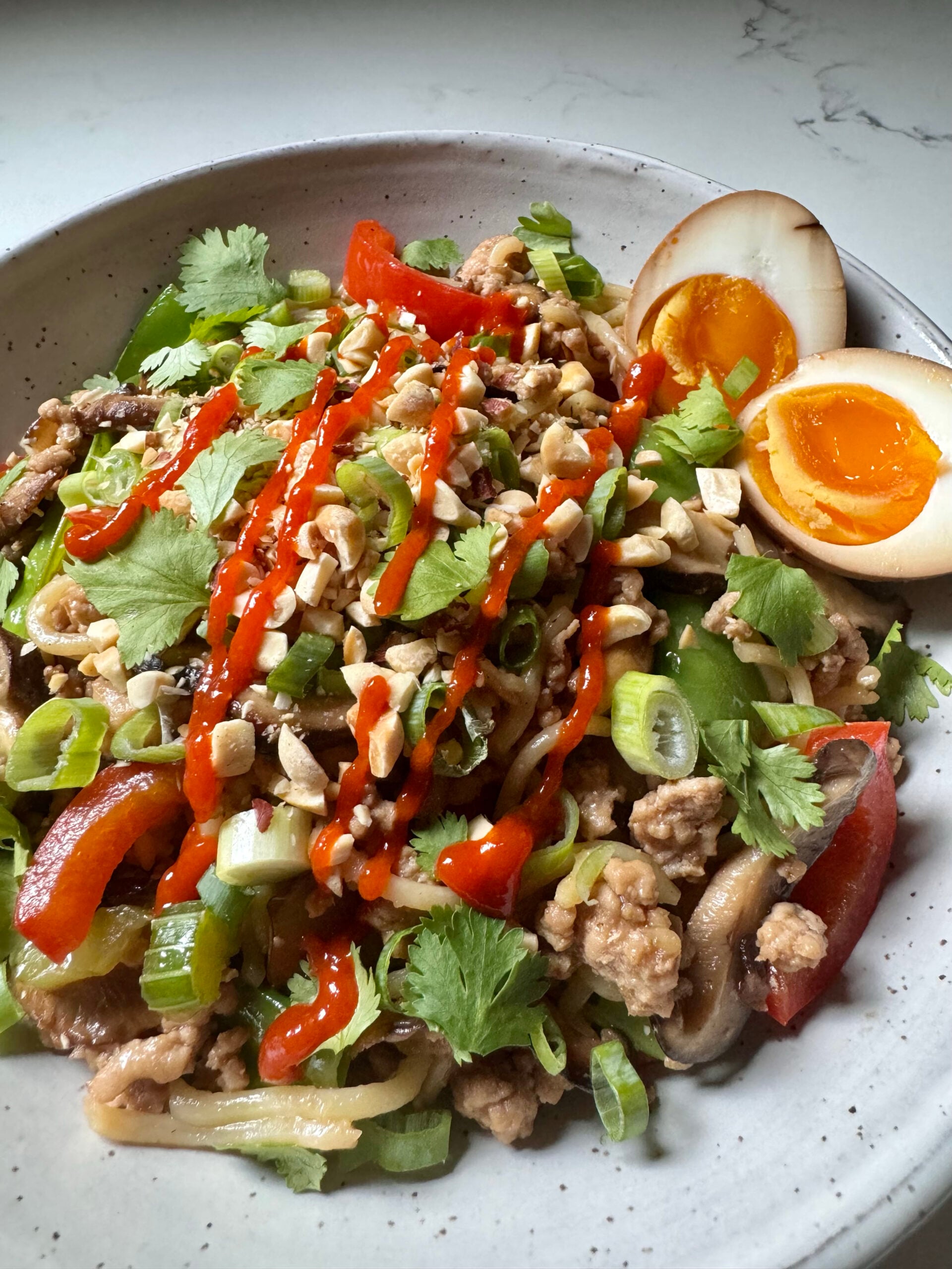 Stir Fry Noodles with Pork and Veggies