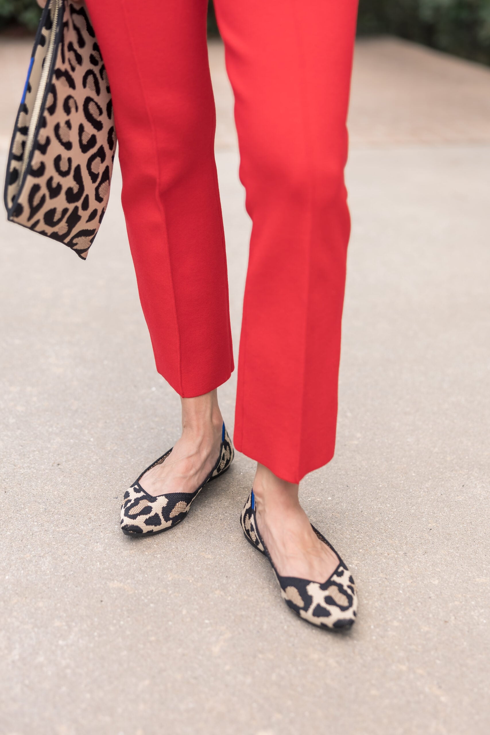 Leopard Print shoes and clutch