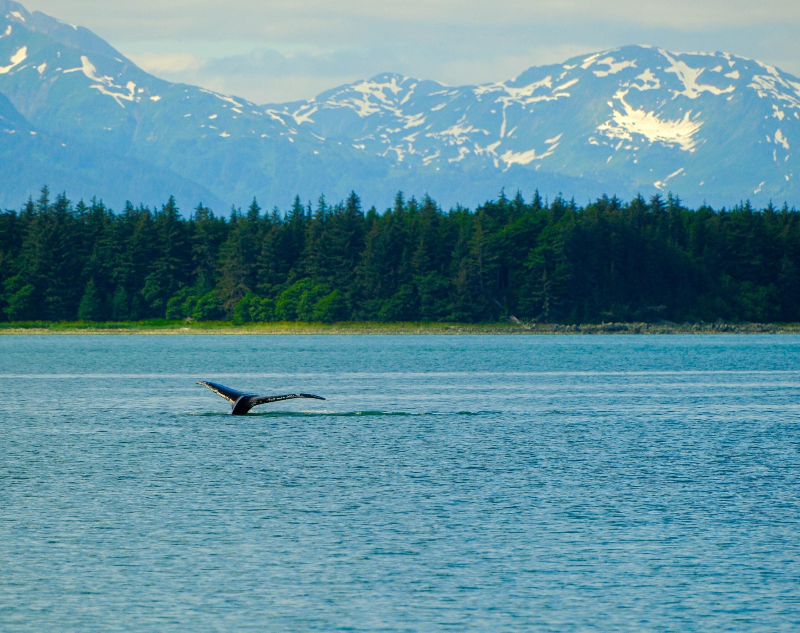 Alaska tours