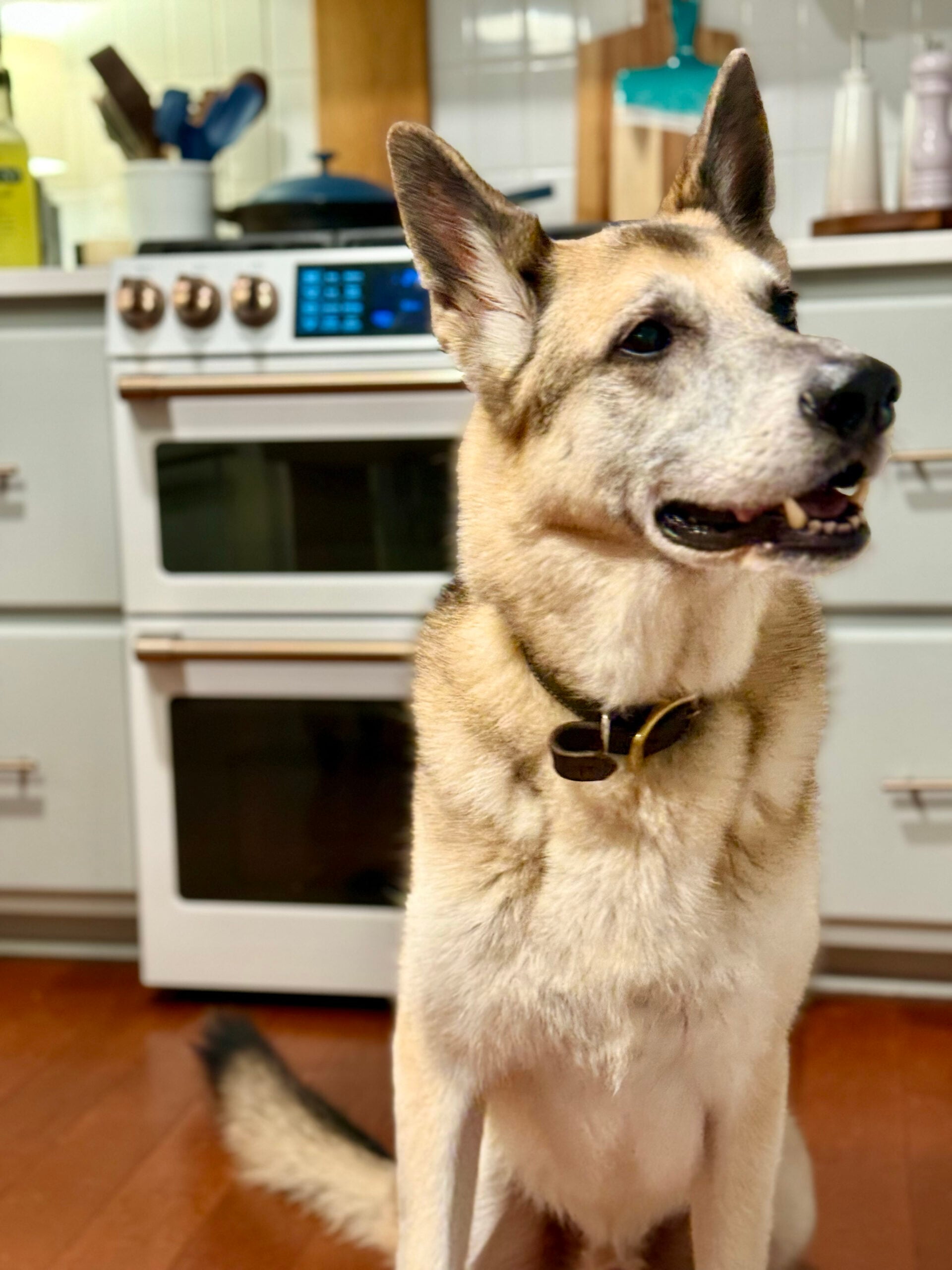 oscar kitchen friday