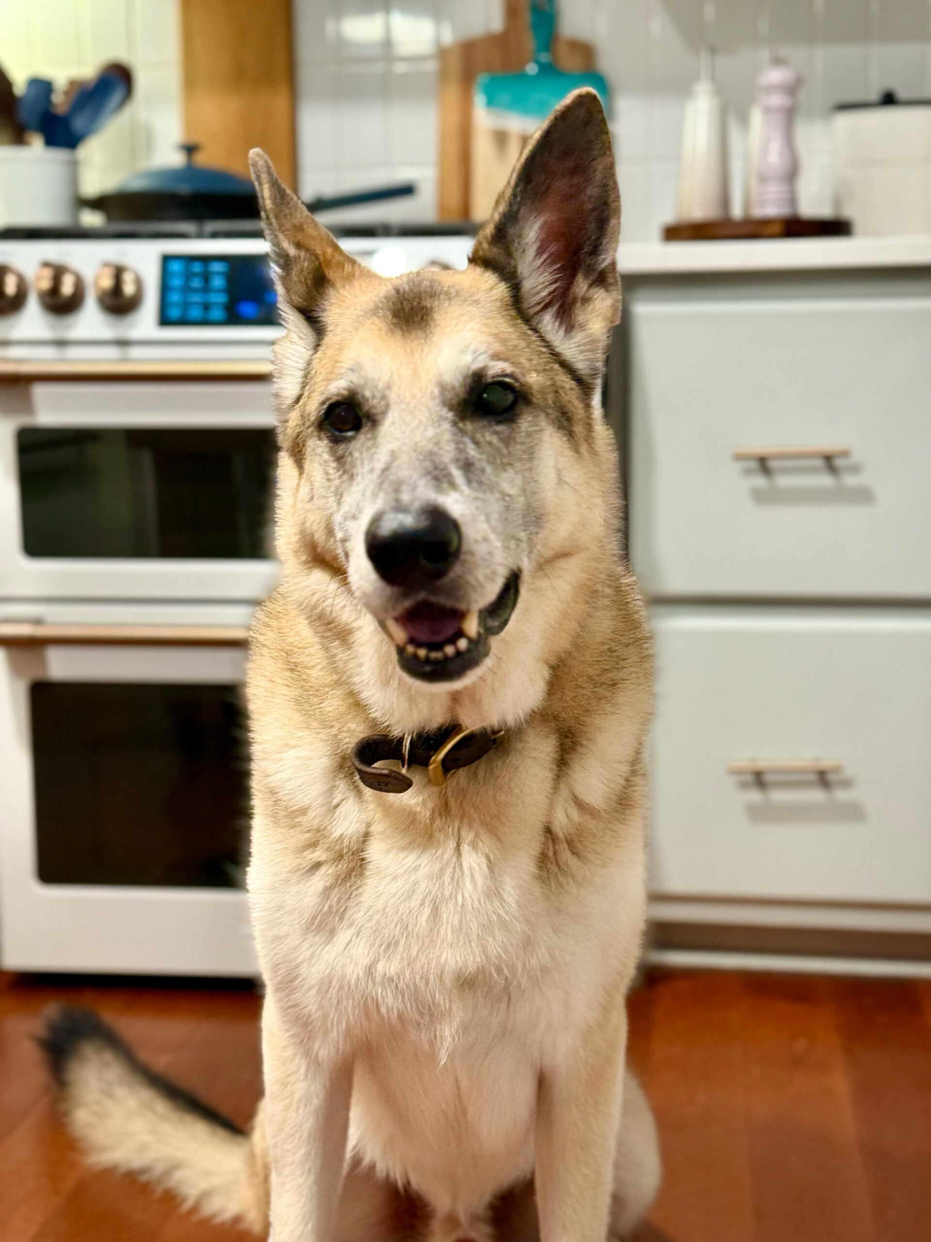 oscar kitchen