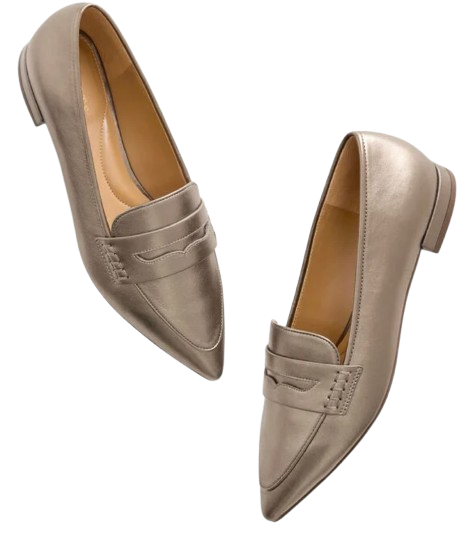 Pointed Toe Metallic Loafers