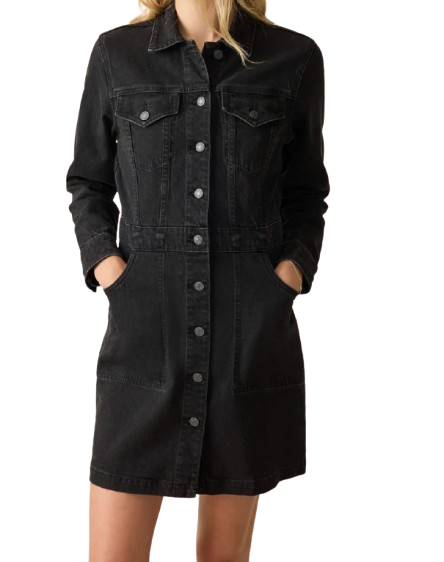 Faherty Long Sleeve Denim Mini Dress