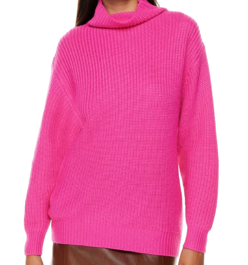 Aritzia Montpellier Turtleneck