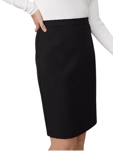Ann Taylor Seamed Pencil Skirt