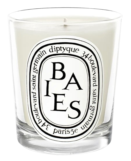 Diptyque Baies Candle