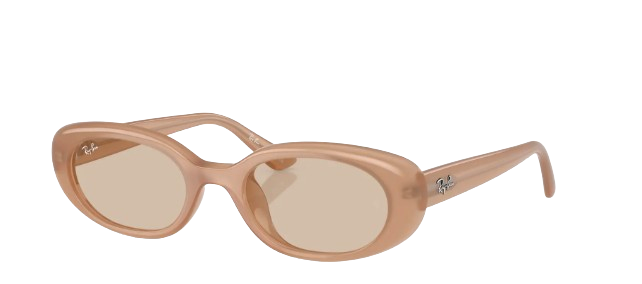 Nordstrom Ray Ban Oval Sunglasses