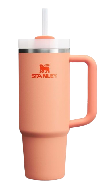 Stanley Quencher H2.0 Tumbler with Straw