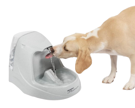 PetSafe Drinkwell Fountain, spring pet essentials