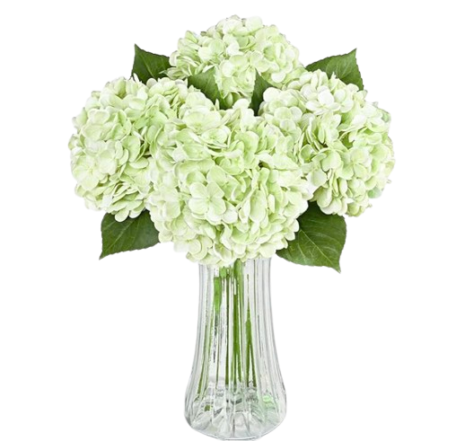 Large Artificial Hydrangeas (Set of 3), Pantone's 2025 Top Colors
