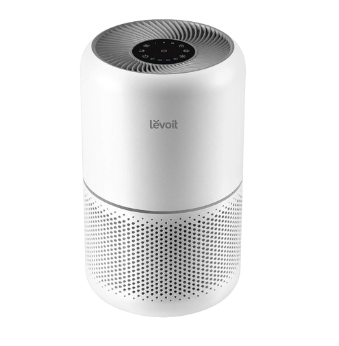 LEVOIT Air Purifier with HEPA Filter, natural allergy remedies