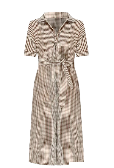 Brown and White Gingham Shirtdress