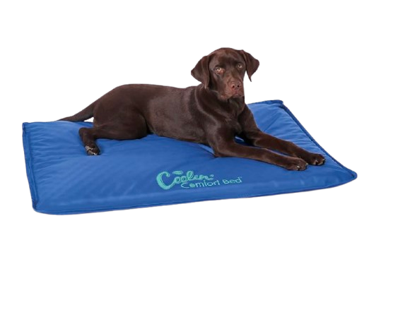 K&H Pet Products Coolin’ Comfort Bed, spring pet accessories