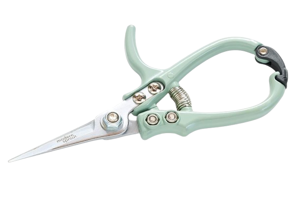 Flower Care, Pruning Tools, Fresh Flowers