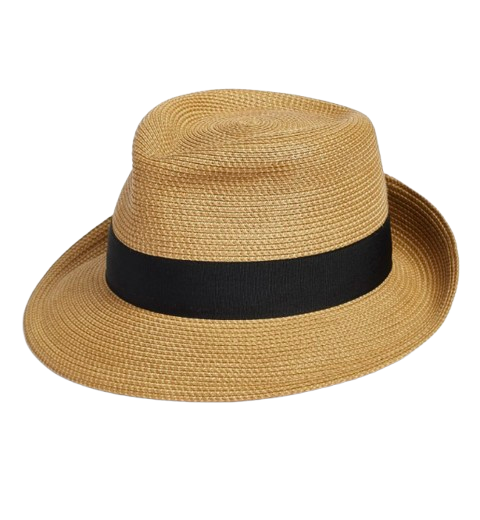 Eric Javits Squishee Fedora