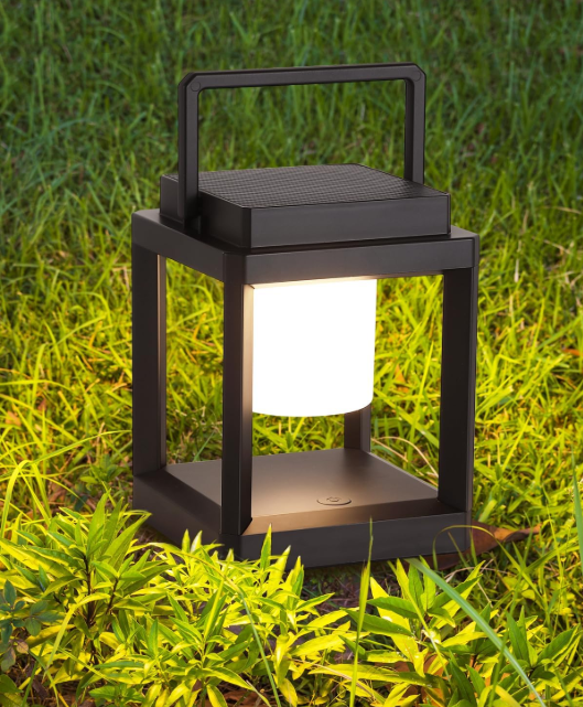 Mood Lighting for backyard picnic
