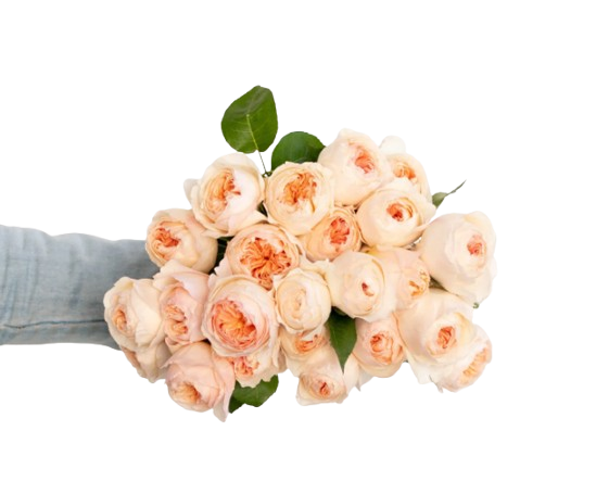 Fresh Floral Arrangements