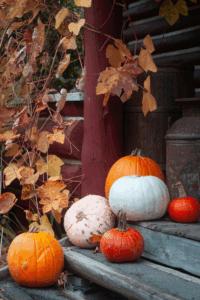 Front Porch Glow-Up: Chic Fall Doormats & Porch Décor You’ll Love