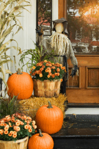 The Chic Amazon Halloween Finds That’ll Save Your Party (and Your Sanity 🎃)