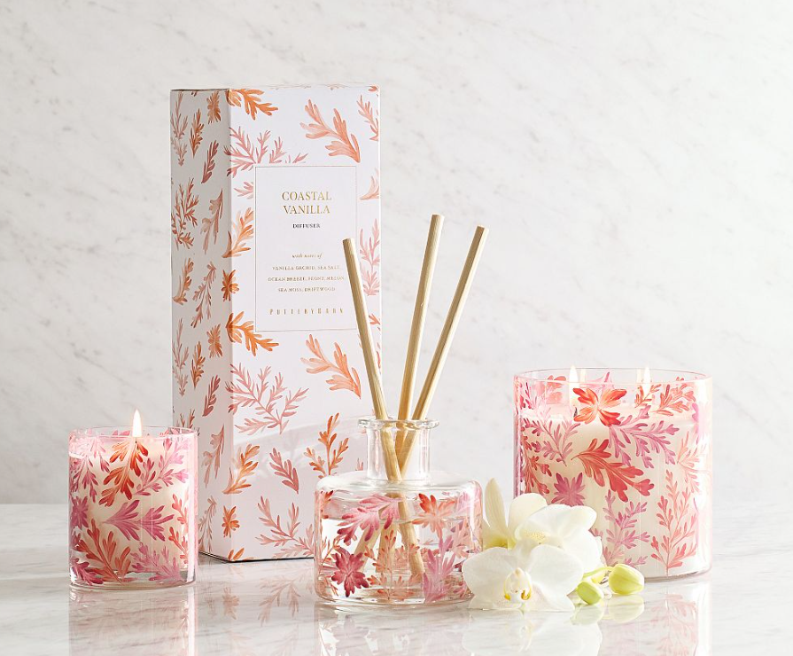 Hand-painted Coastal Vanilla candle and diffuser, sold individually, with coral floral glass design and vanilla orchid, sea salt fragrance.