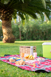 The Picnic Edit: 6 Finds That Turn Any Outdoor Meal Into a Proper Occasion ☀️✨