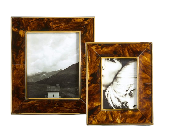 Tortoise Brass Resin Picture Frame